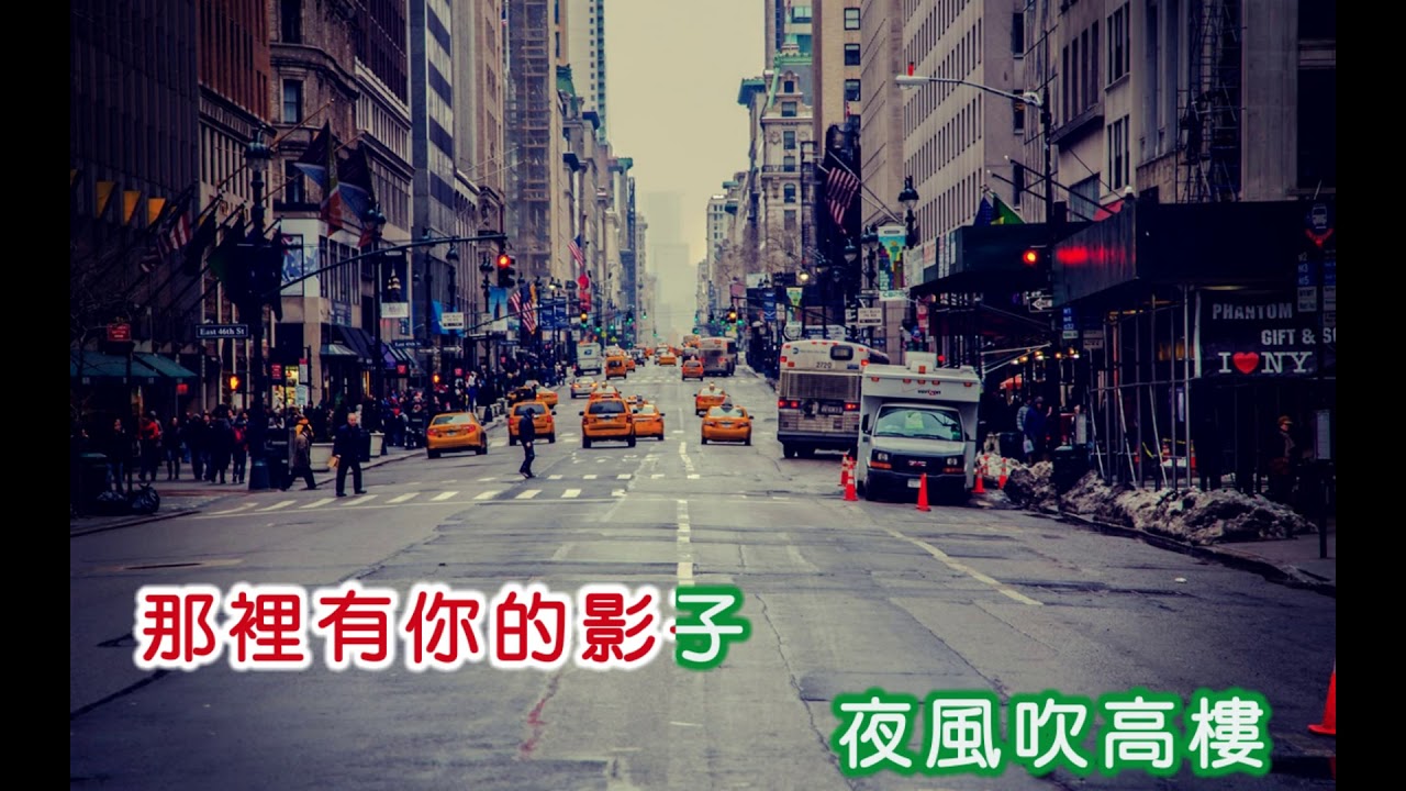 陳芬蘭 ~ 夢追酒