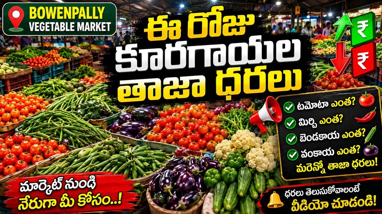 Today's Fresh Vegetable Prices at Bowenpally Market | Tomato, Chili, Okra Rates Today