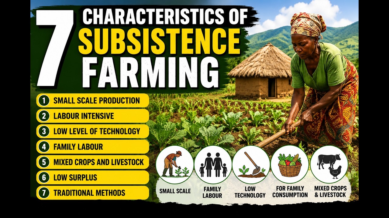 7 CHARACTERISTICS OF SUBSISTENCE FARMING
