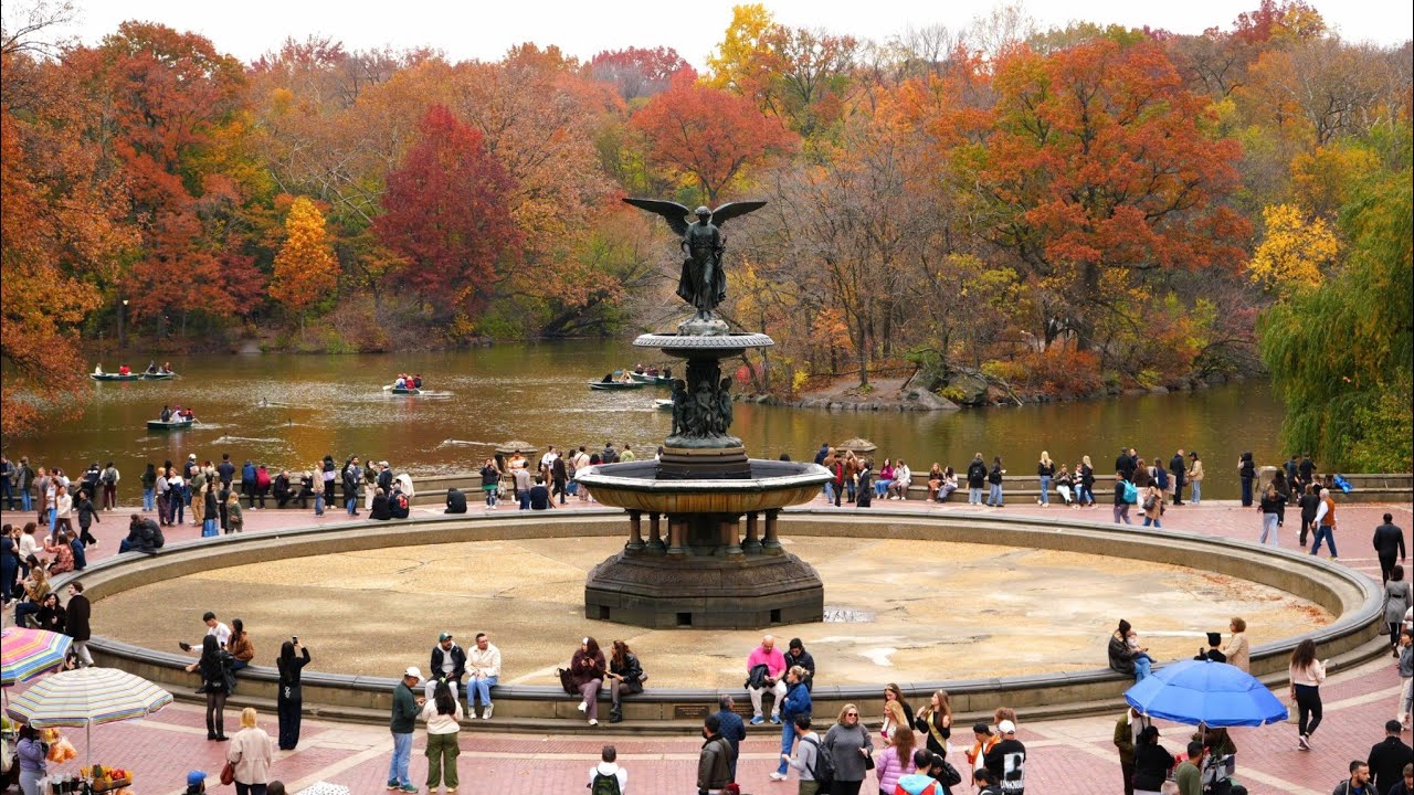 Central Park Fall Foliage x Sony A7iv Cinematic Video!