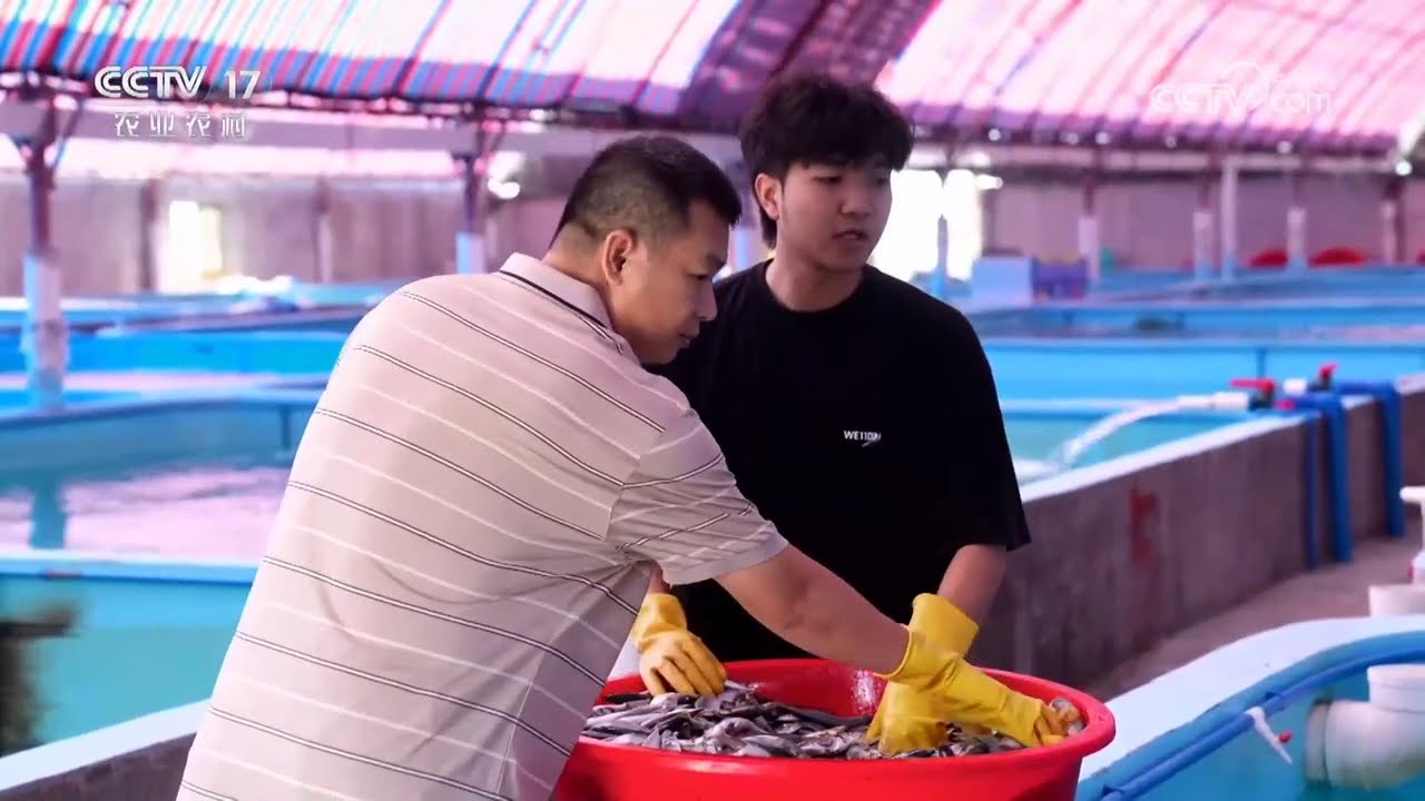 《共富经》 20240729 农业玩出新花样 滩涂上挖出新财富|农业致富经 Agriculture And Farming