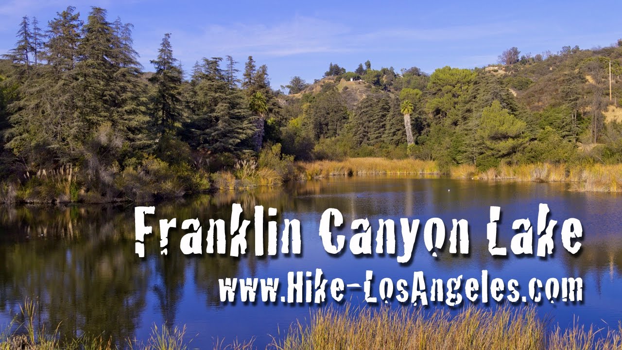 Franklin Canyon Lake Hike