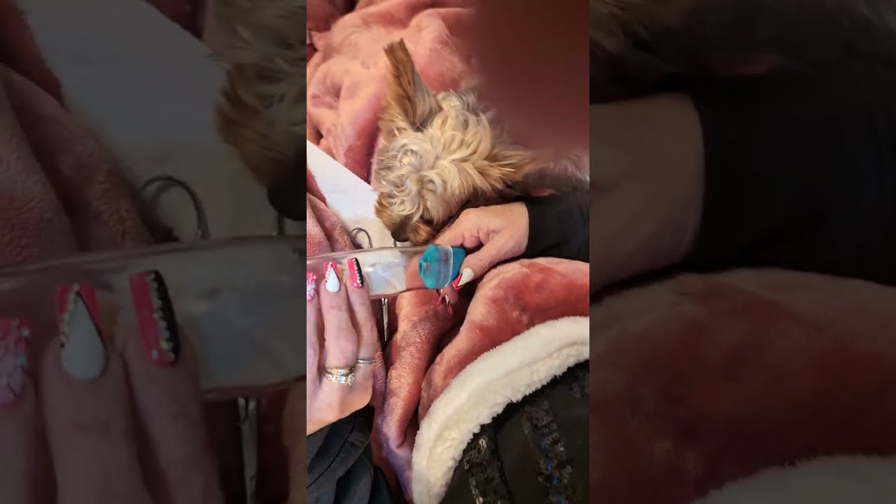 Adults nVAPE made to filter for medical 