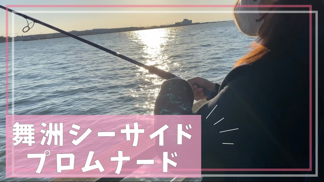 舞洲シーサイドプロムナードで大型青物を狙う！良型サイズのアレも沢山ヒットしました🐟【サビキ釣り】【ライトショアジギング】【ノマセ釣り】