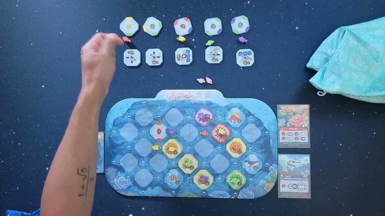 Shallow Sea - Solo Playthrough