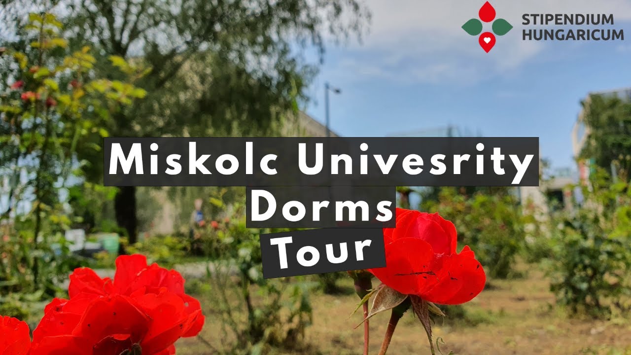 Dorms In Miskolc University