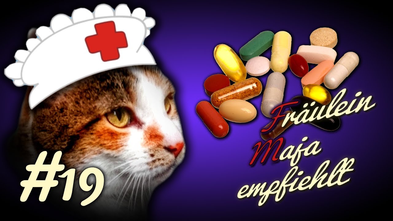 Katzen und Medikamente - 4 Tricks für die Medikamentengabe - Fräulein Maja empfiehlt Teil 19