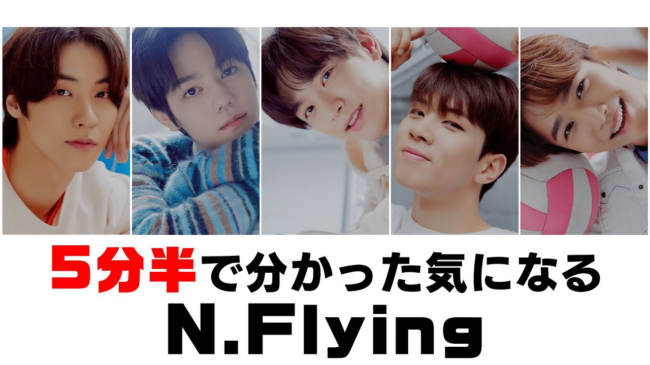 【エヌフラ】5分半で分かった気になるN.Flying