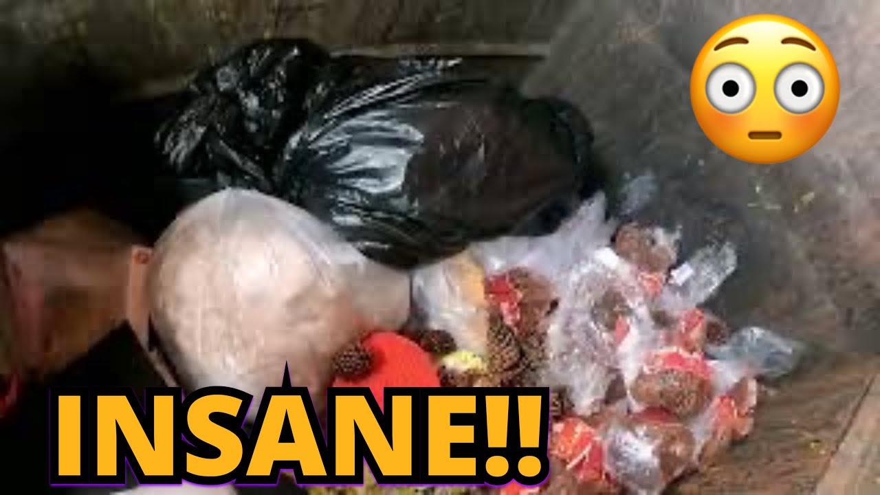 DUMPSTER DIVING - THIS IS INSANE!!!  JACKPOT