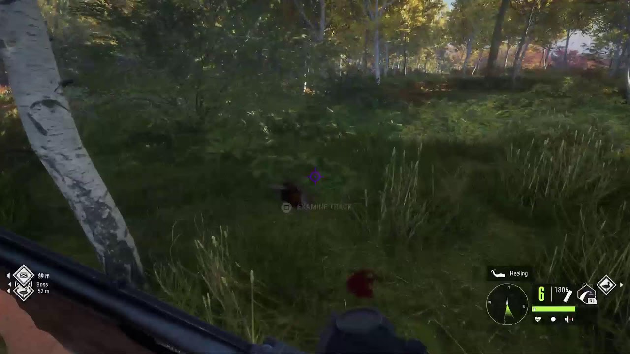 Doing the wild boar grind. Will he ever spawn?