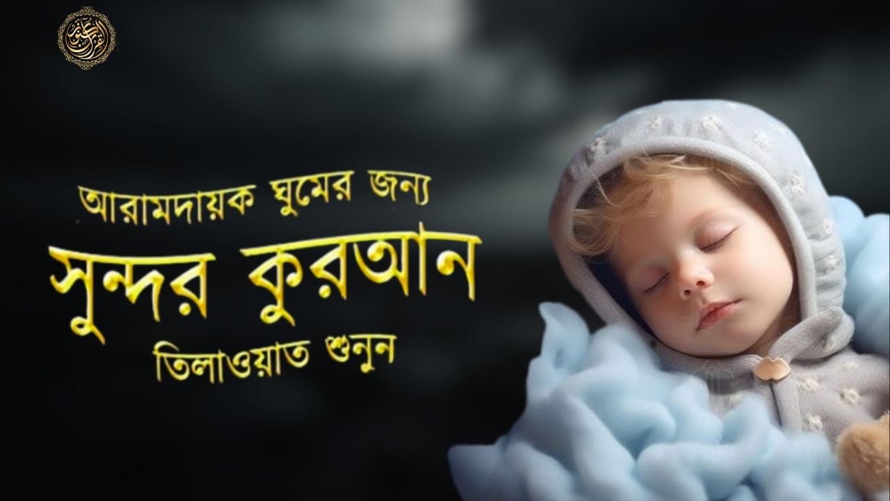 প্রতিদিন ঘুমানোর আগে সেরা কুরআন তিলাওয়াত শুনুন । BEST QURAN TILAWAT | BEFORE DEEP SLEEP
