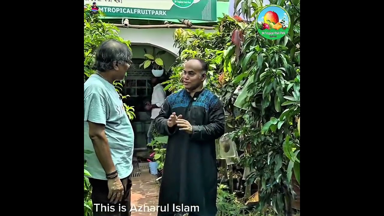 ১০০ টি নয় মাত্র মাত্র ৫ টি গাছ পাচ মাস আম ফলন হবে। #আম #mango #mangoseason #5monthmango.