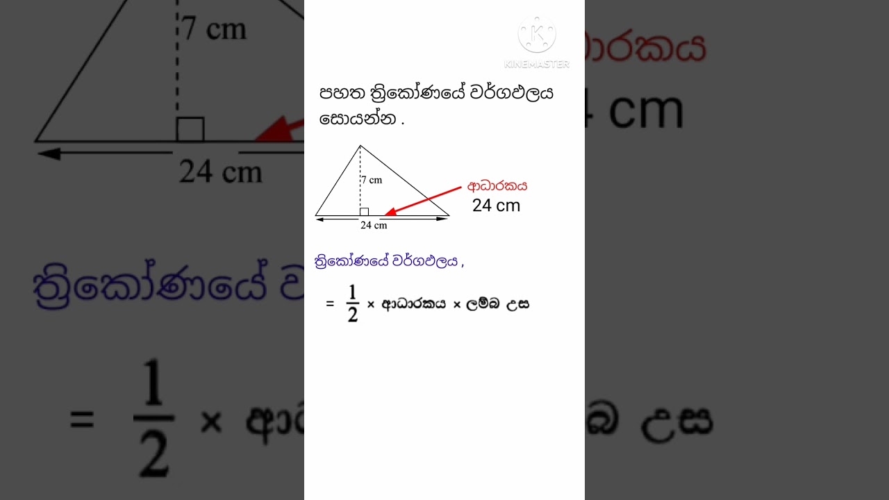 වර්ගඵලය 😀🎓 #maths #viral #shorts