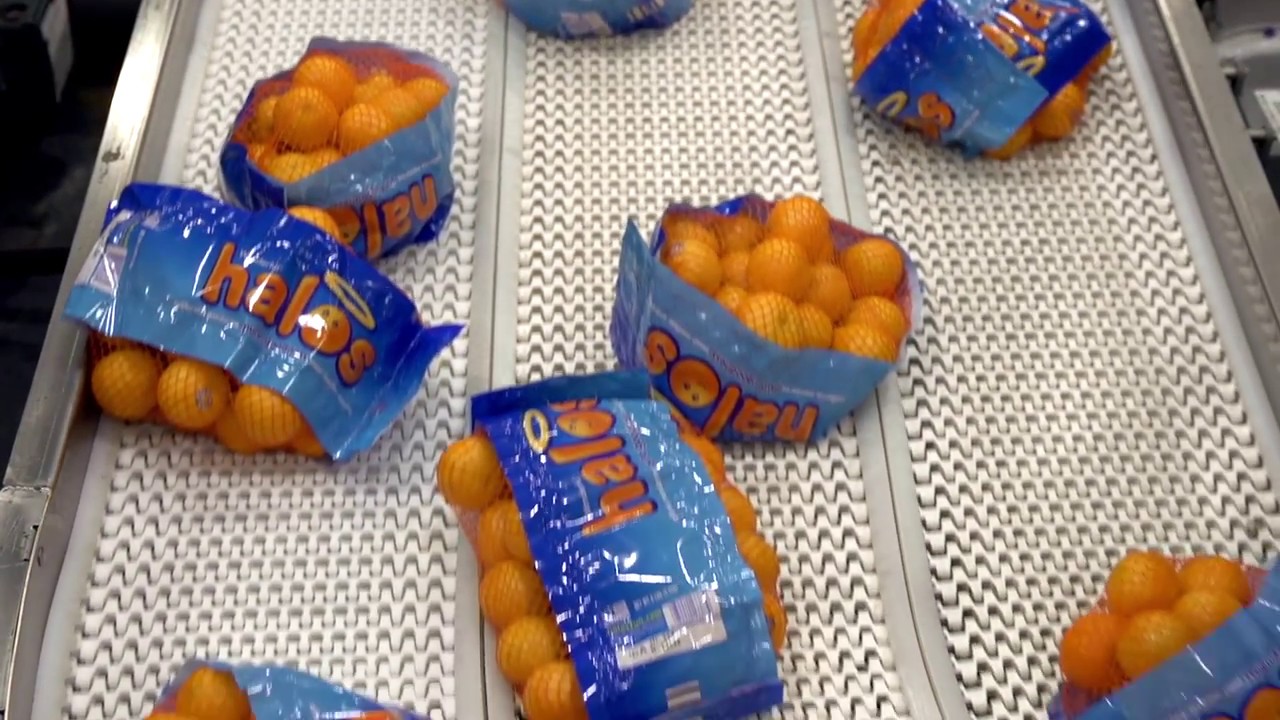 Wonderful Citrus Line Video
