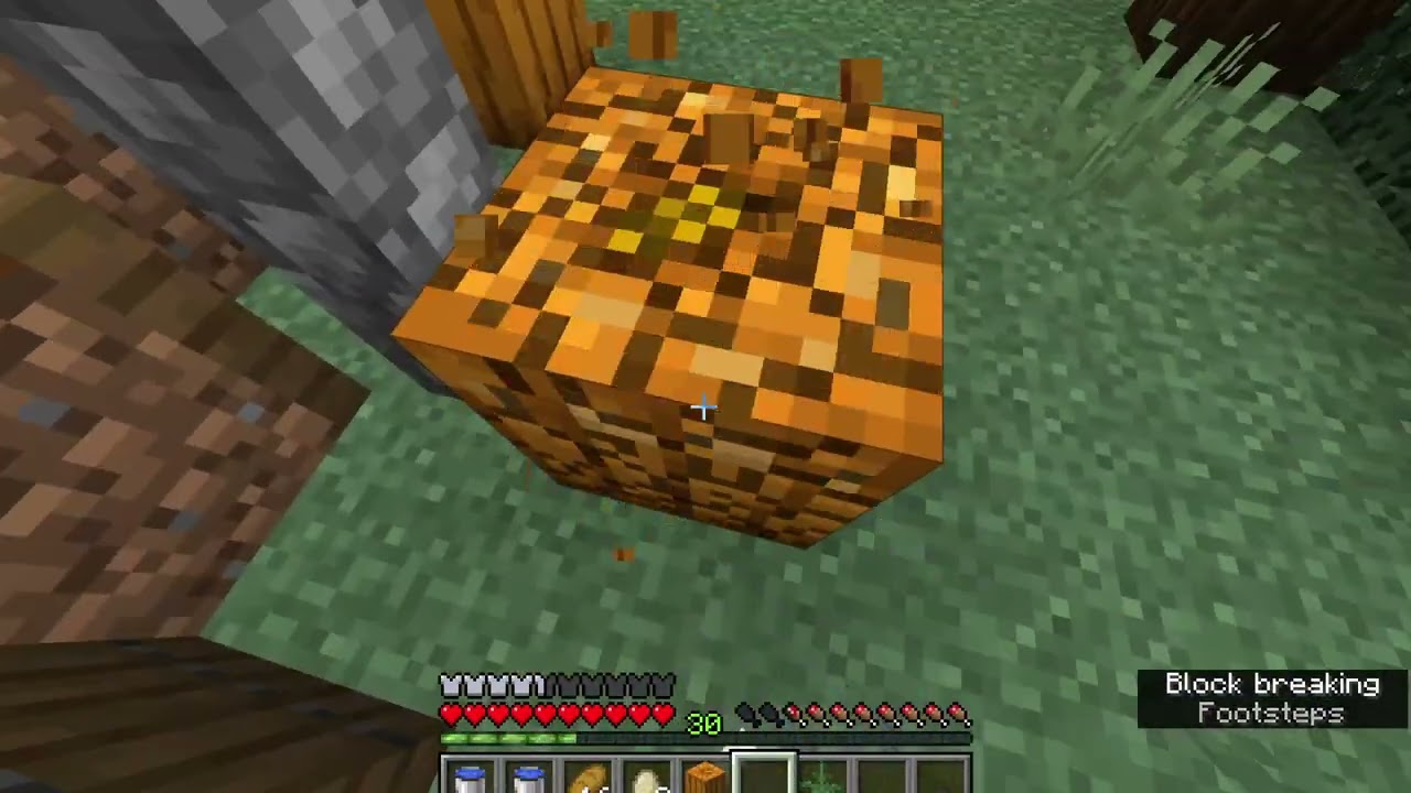 Minecraft Episode 8 - My Berries!