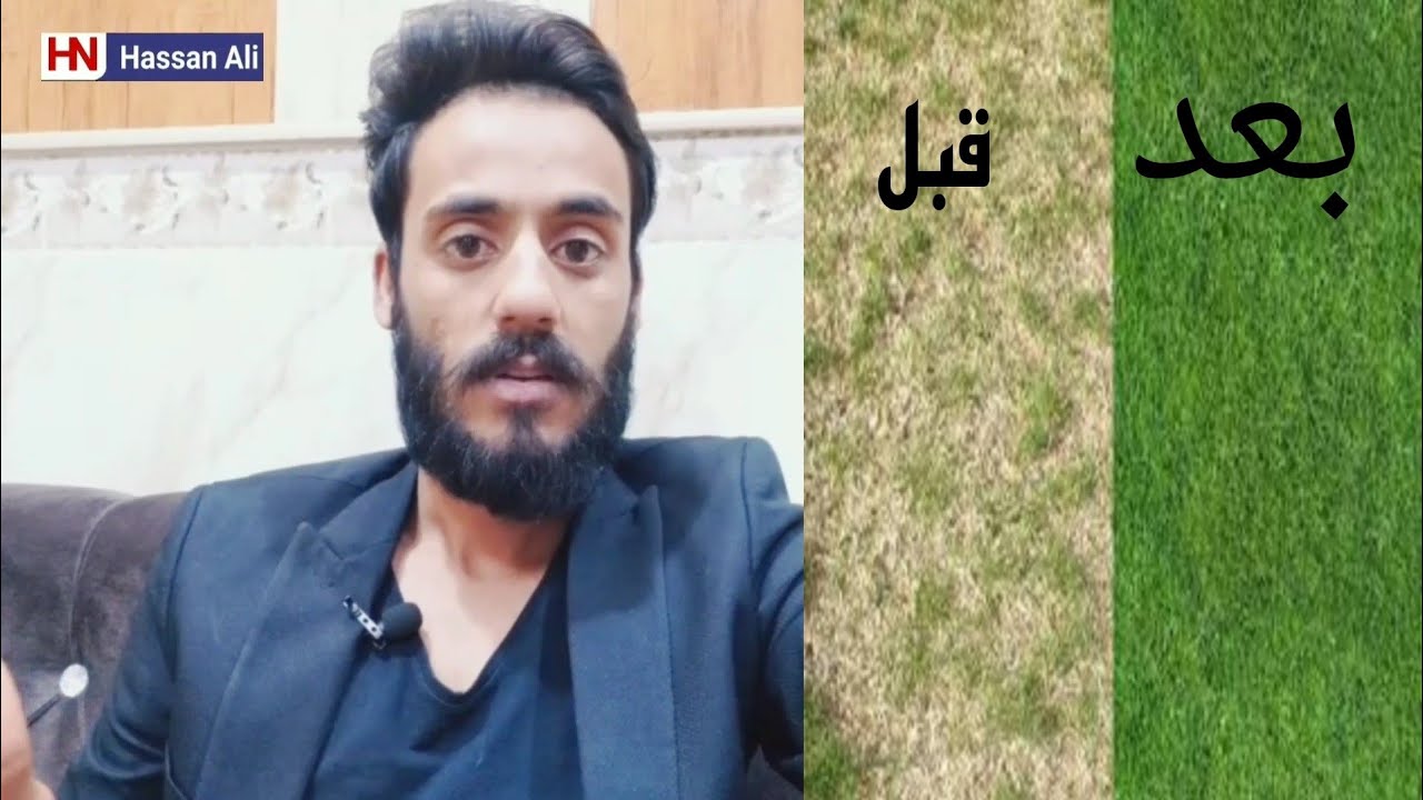 اسباب تغير لون الثيل الى الاصفر وطريقة تنشيطة للنمو مرة اخرى