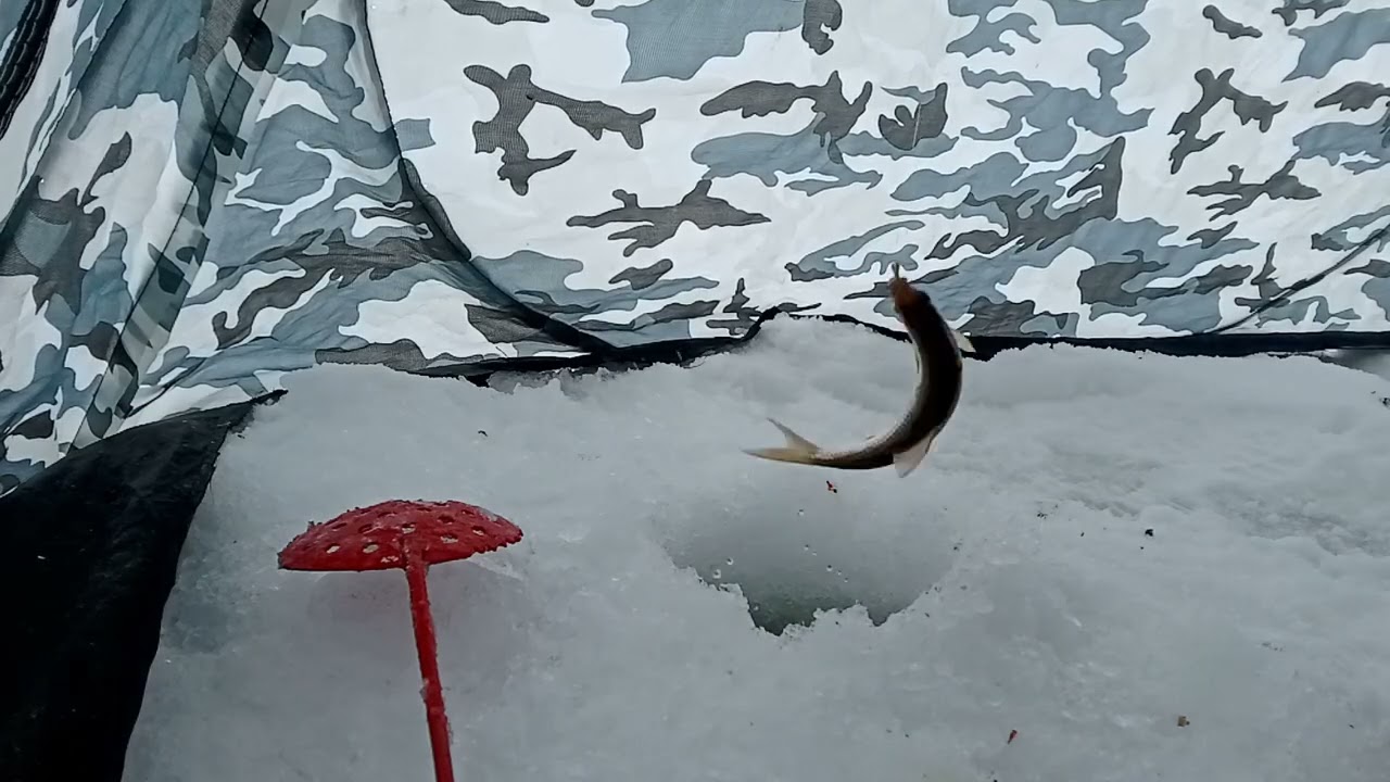 На рыбалке 27.02.26г.