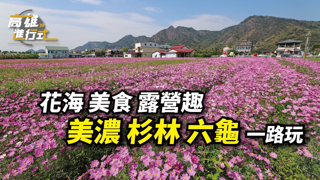 花海 美食 露營趣  美濃杉林六龜一路玩 ◆高雄進行式2026