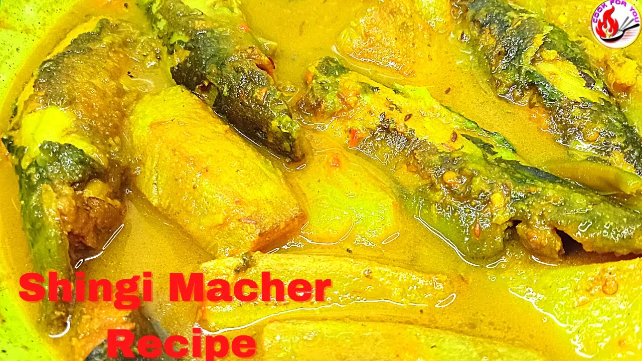 Shingi machher jhol I Catfish curry recipe | Shing Macher Jhol Recipe I