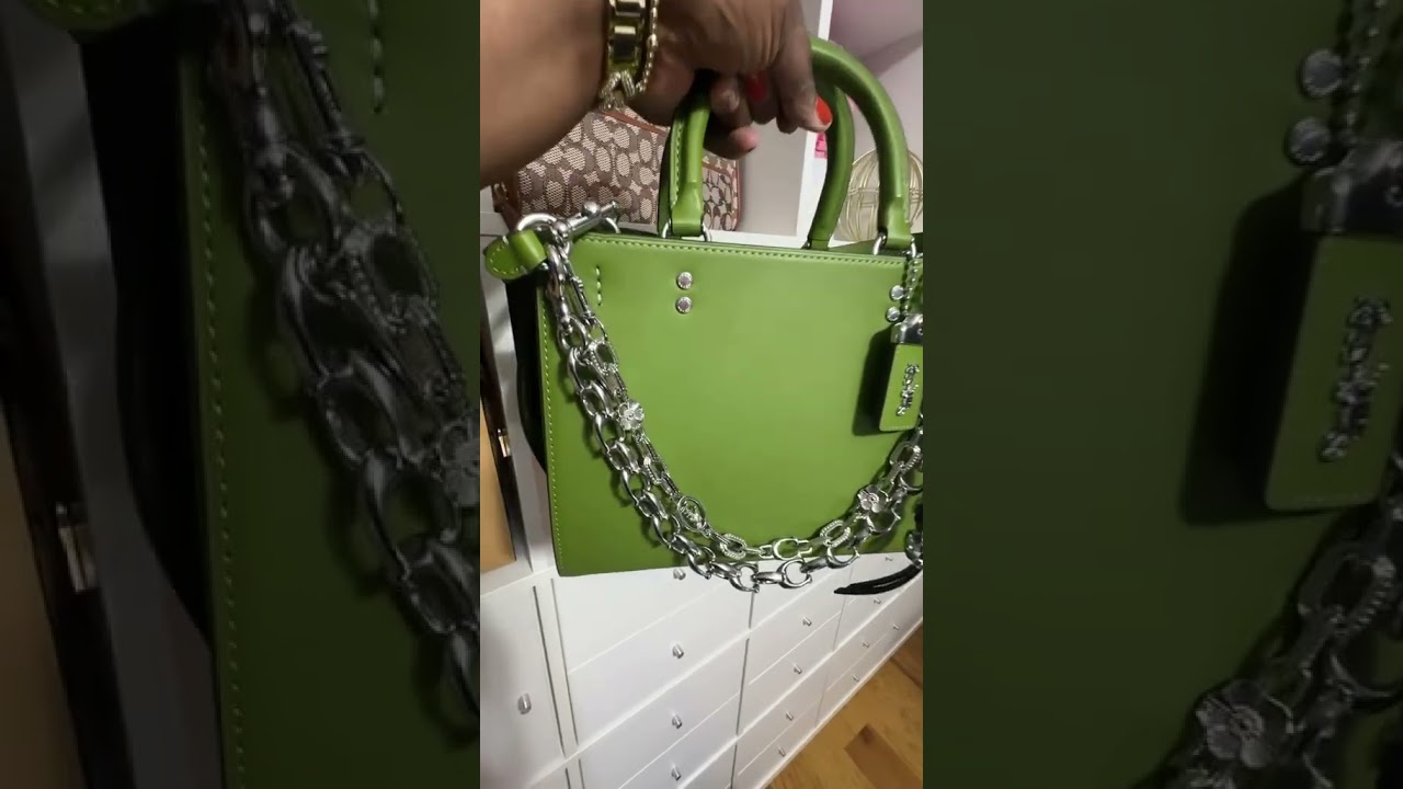С Национальным днем ​​сумок! #handbaglover #coachrogue