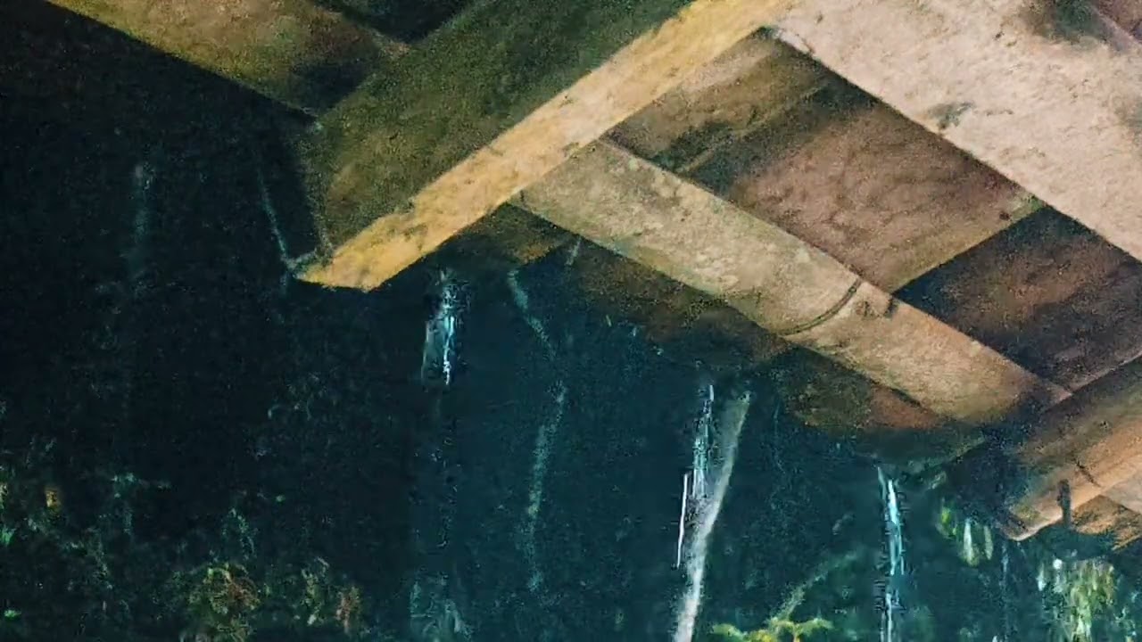 heavy rain  in forest all night | Rain sounds for sleeping