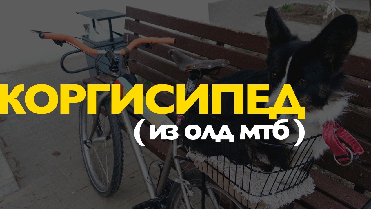 ОЛД МТБ &mdash; велосипед для собаки