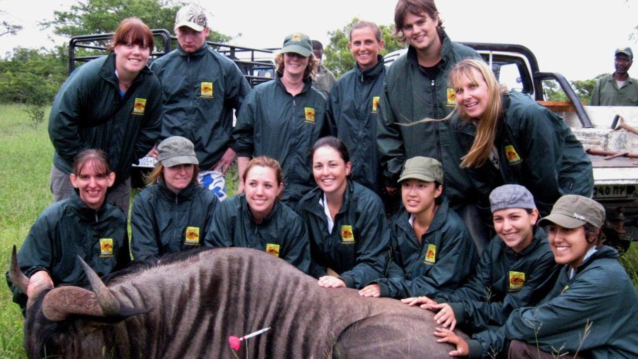 EcoLife Expeditions Introduction