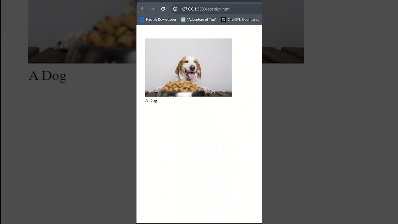 How to place text on image using HTML & CSS  #htmlcss #htmltutorial