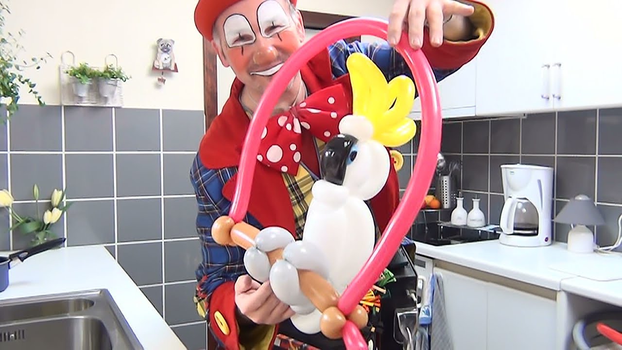 How to make a balloon cockatoo