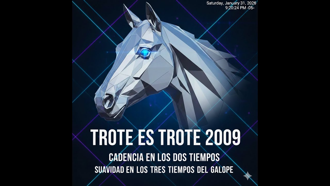 TROTE ES TROTE ASDESILLA 2009 YEGUAS #troteygalope #yeguas #caballos #equus #asdesilla