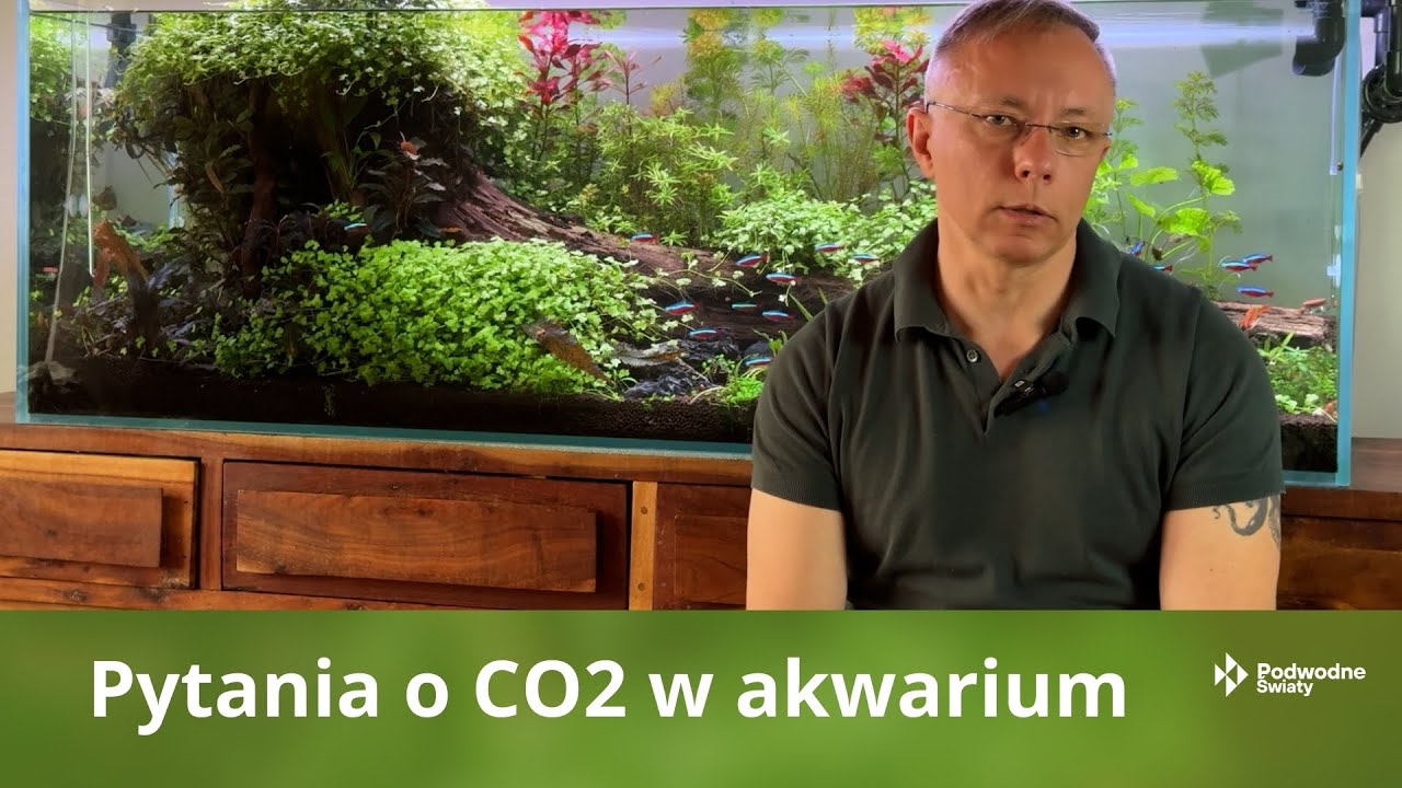 Q&A146. Pytania o CO2 w akwarium