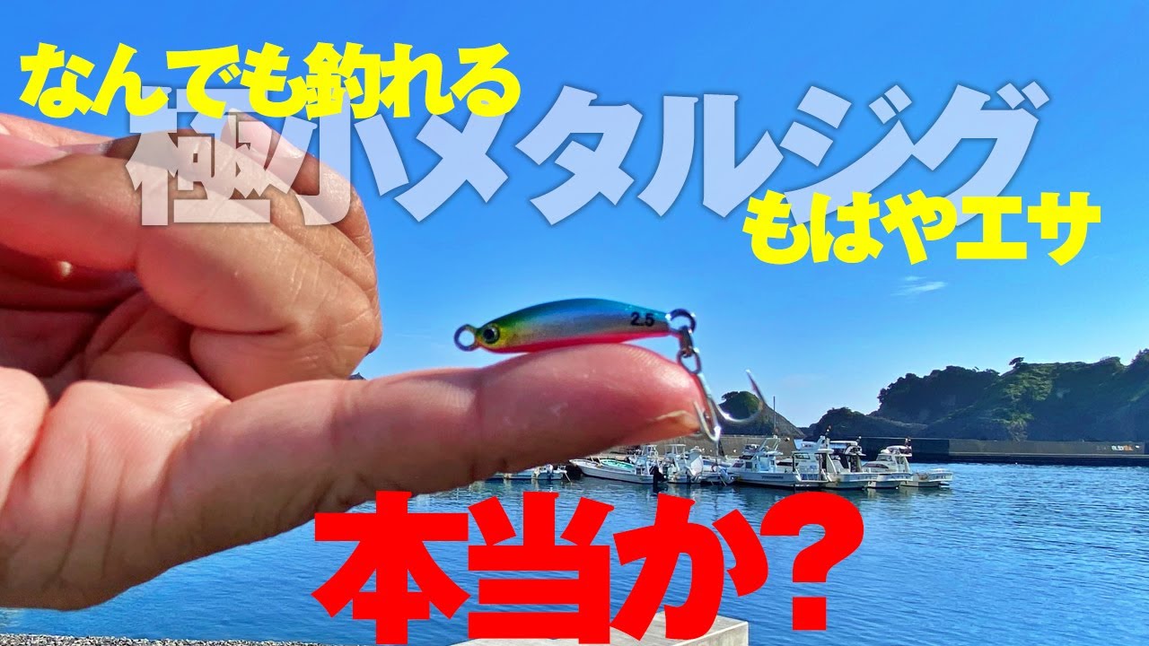 魚種不問・もはやエサという話は本当なのか？とあるジグの実釣力を試してみた結果…