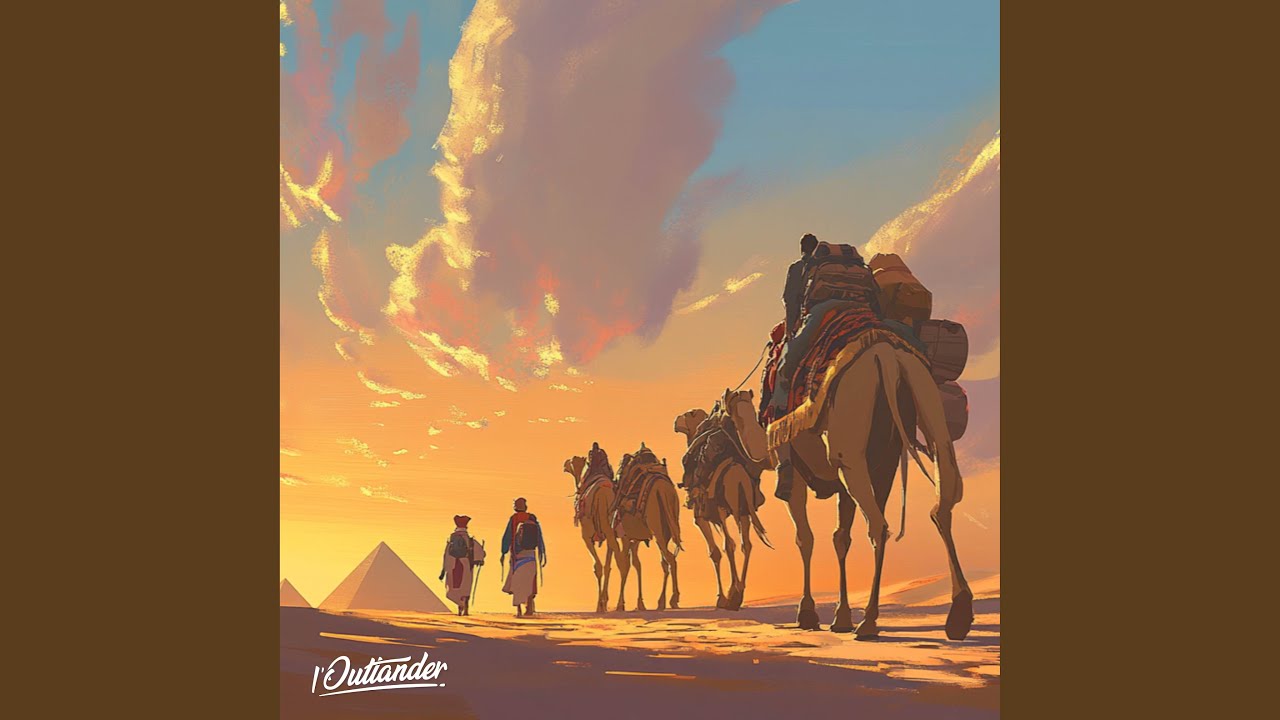 Desert Night