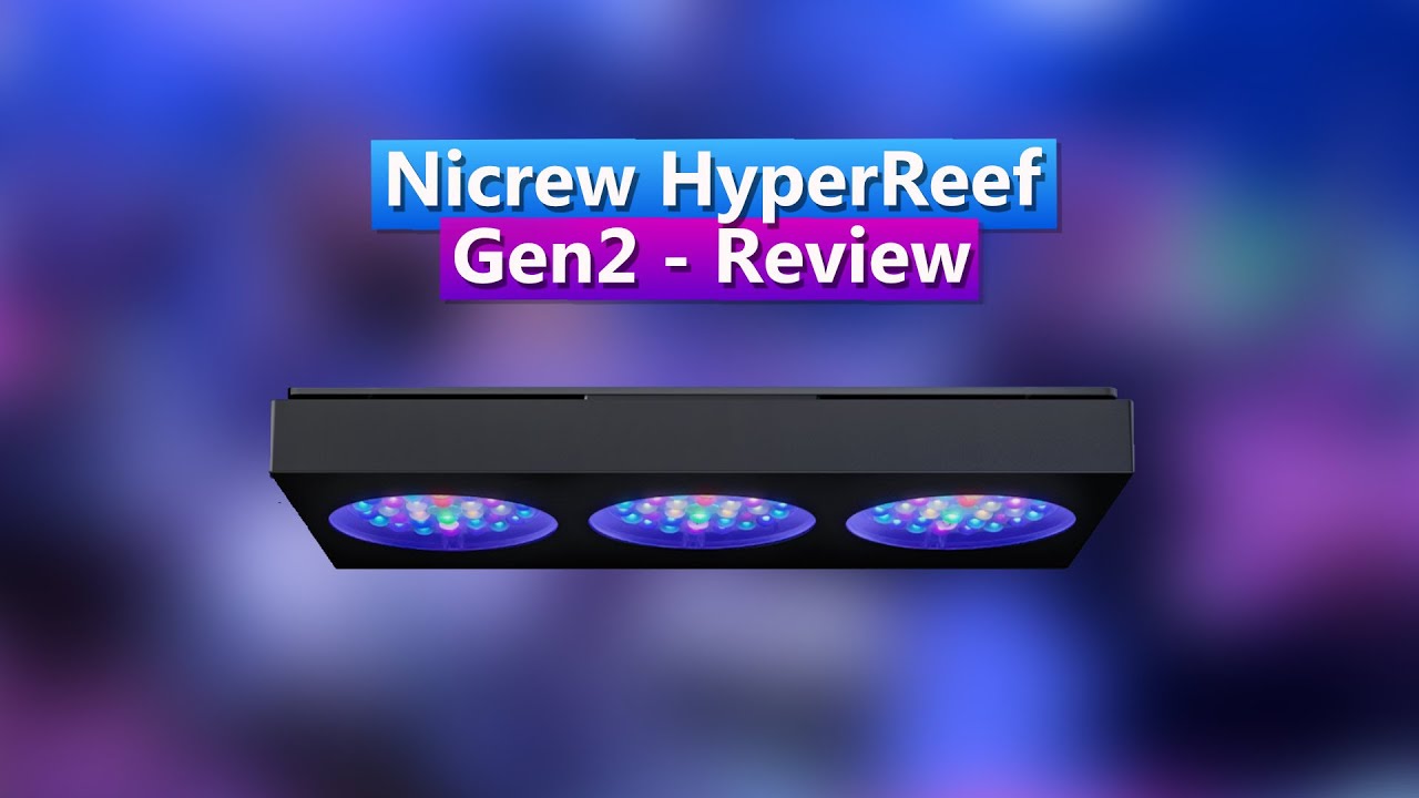 Nicrew HyperReef Gen 2 - Initial Review