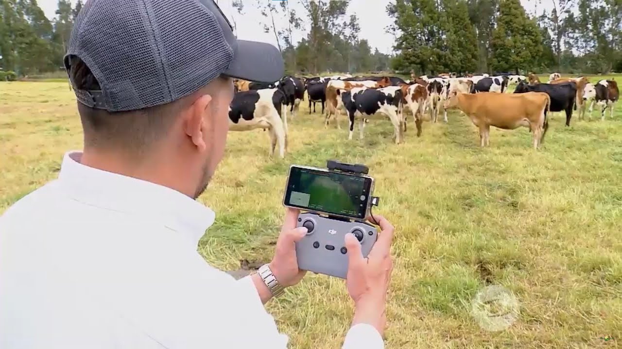 Los beneficios que trae la tecnología para la eficacia de la producción lechera - La Finca de Hoy