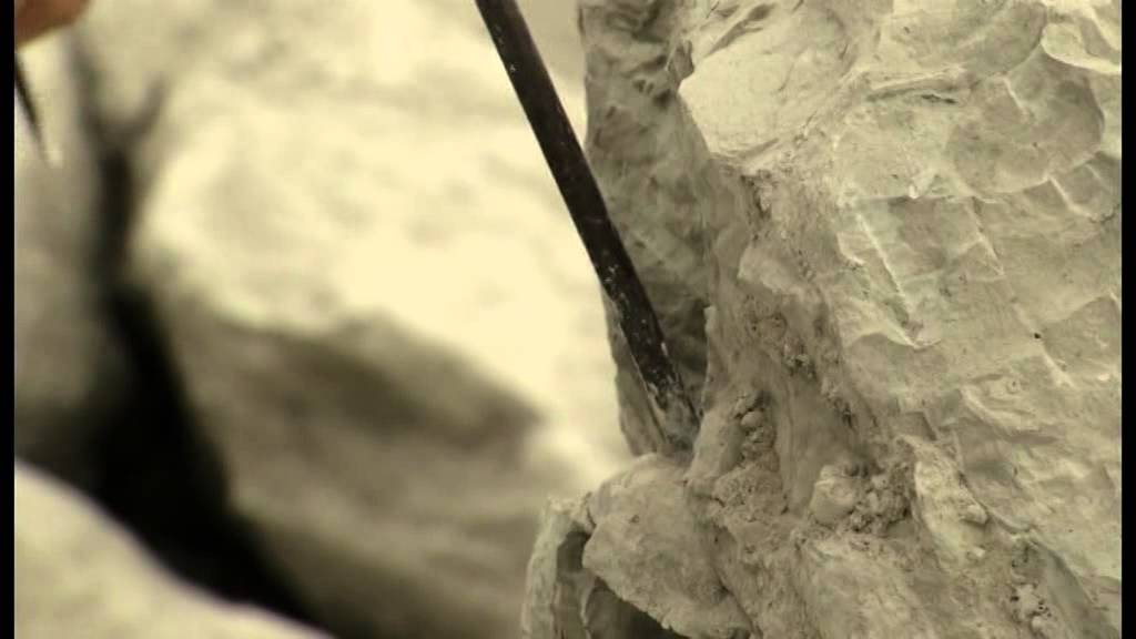 Fossilien finden in der Region Hannover - Auf Entdeckertour in der Mergelgrube H&ouml;ver