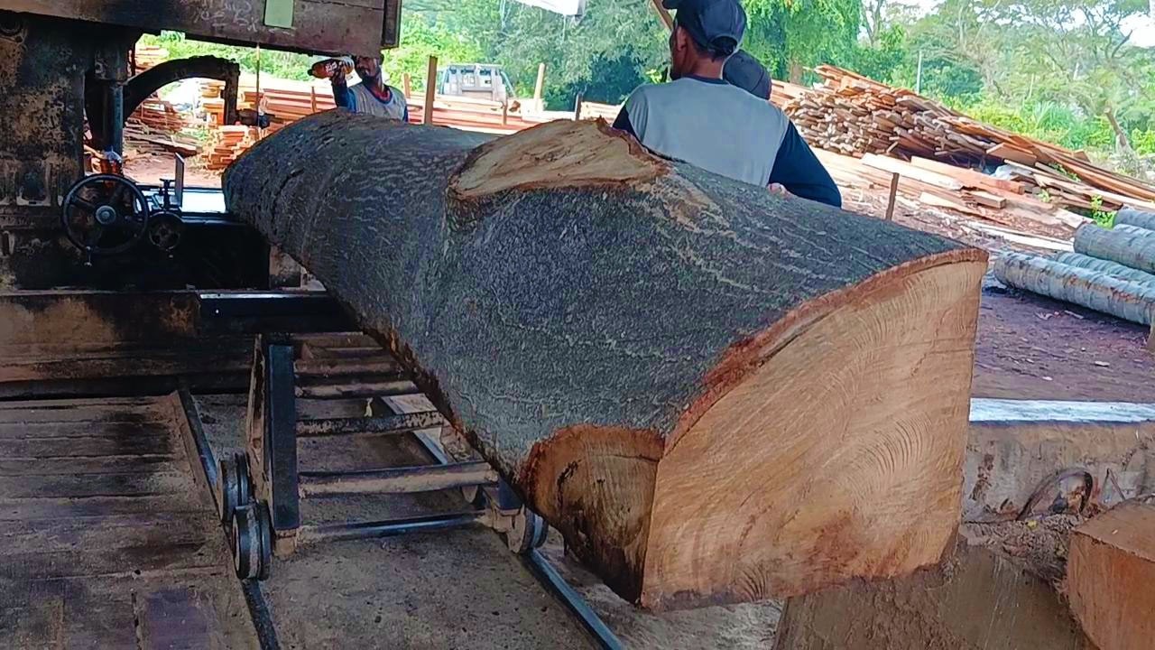 Giant Sawmill Power Extreme Sawing of Large Chunks of Wood Like Never Before