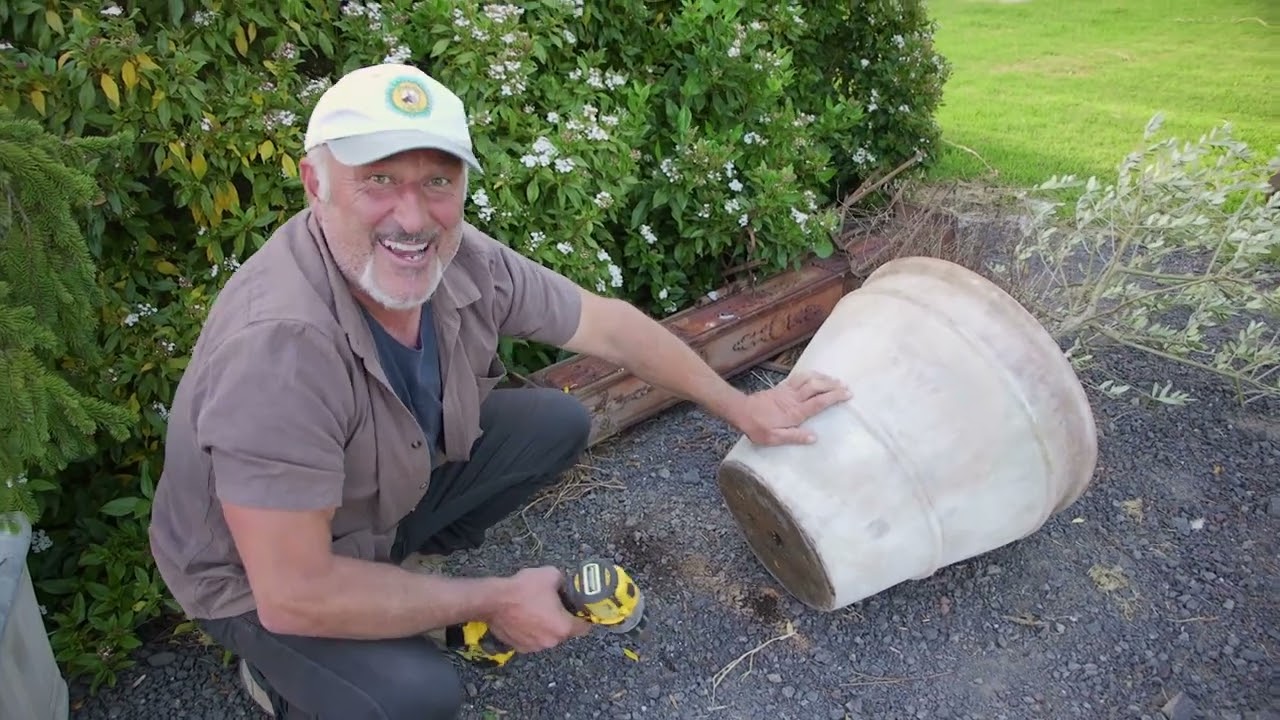 Revitalizing Potted Trees Without Re-potting