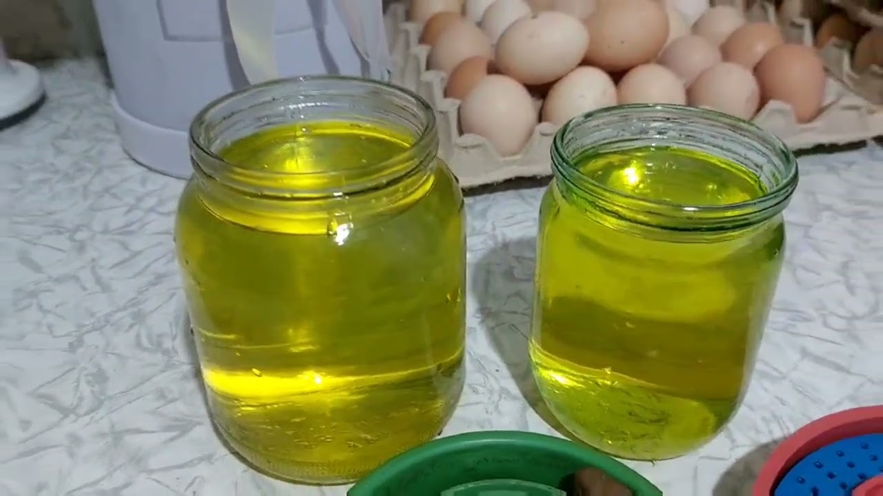 ПЕРЕПЕЛА ВЫЛУП, ПРОПОЙКИ, КОРМЛЕНИЕ, СОДЕРЖАНИЕ.