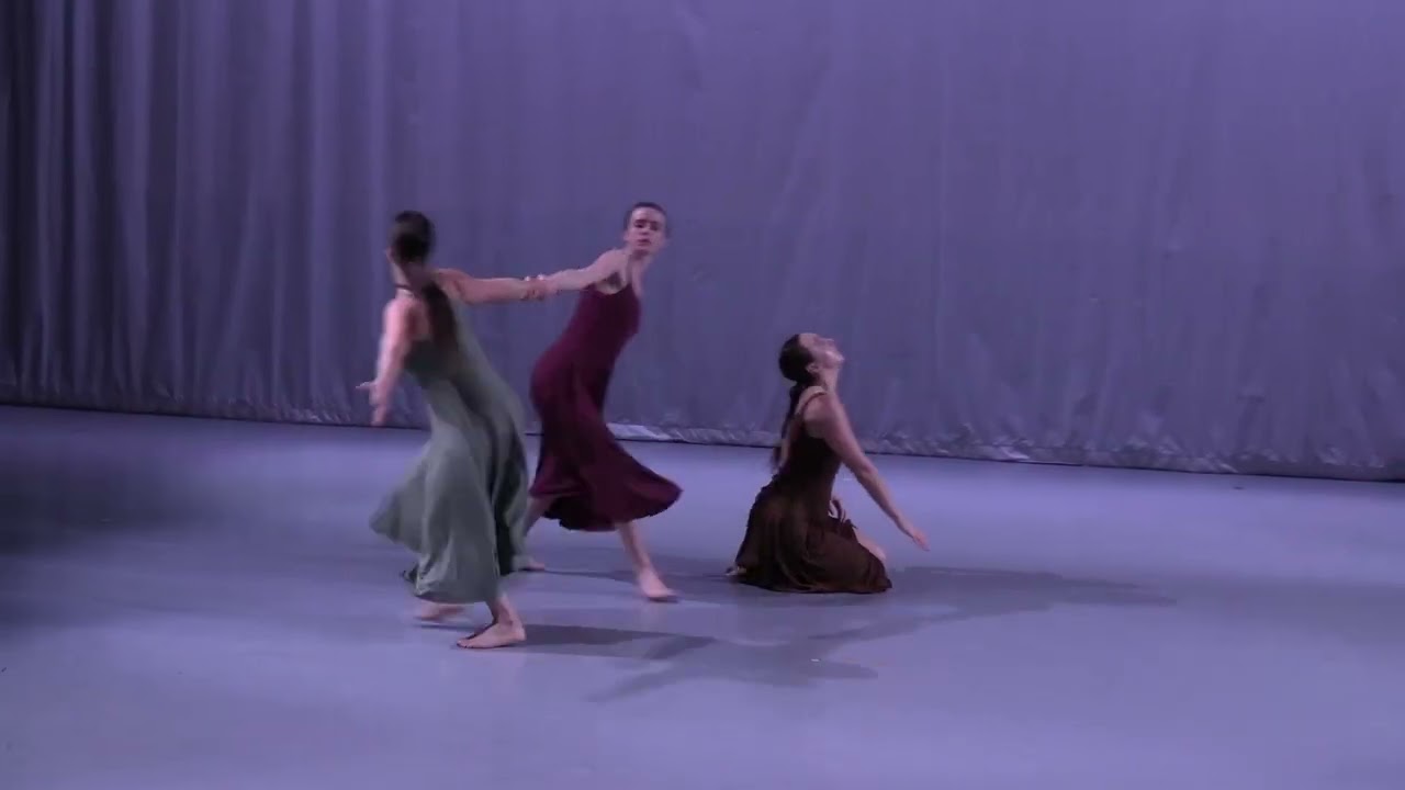 Dances We Dance/Performing Ensemble 2025 Fall Season; SCHUMANN QUARTET/HARMONIC DISSONANCE