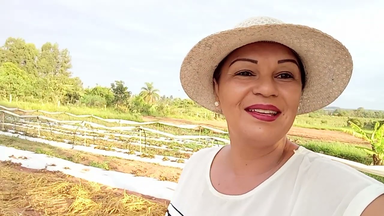 Tivemos que fazer poda drástica no Morango 🍓