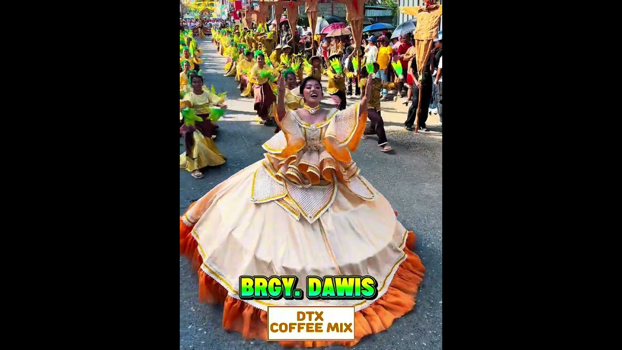 Tawo-Tawo Festival Street Dance - Brgy. Dawis Bayawan City, Negros Oriental