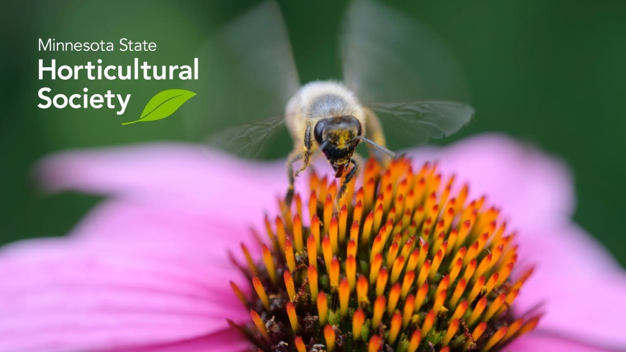 Landscaping with Native Plants