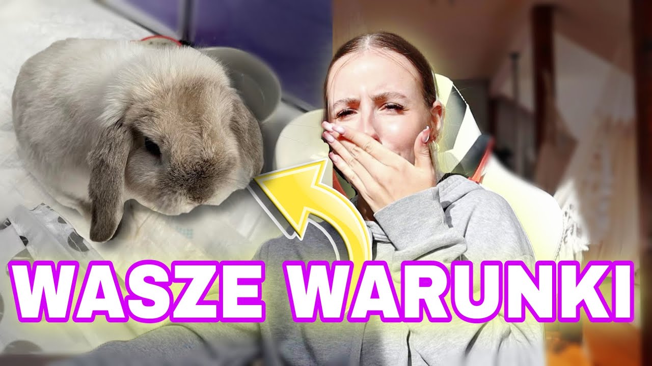 OCENIAM WARUNKI WASZYCH KRÓLIKÓW #7