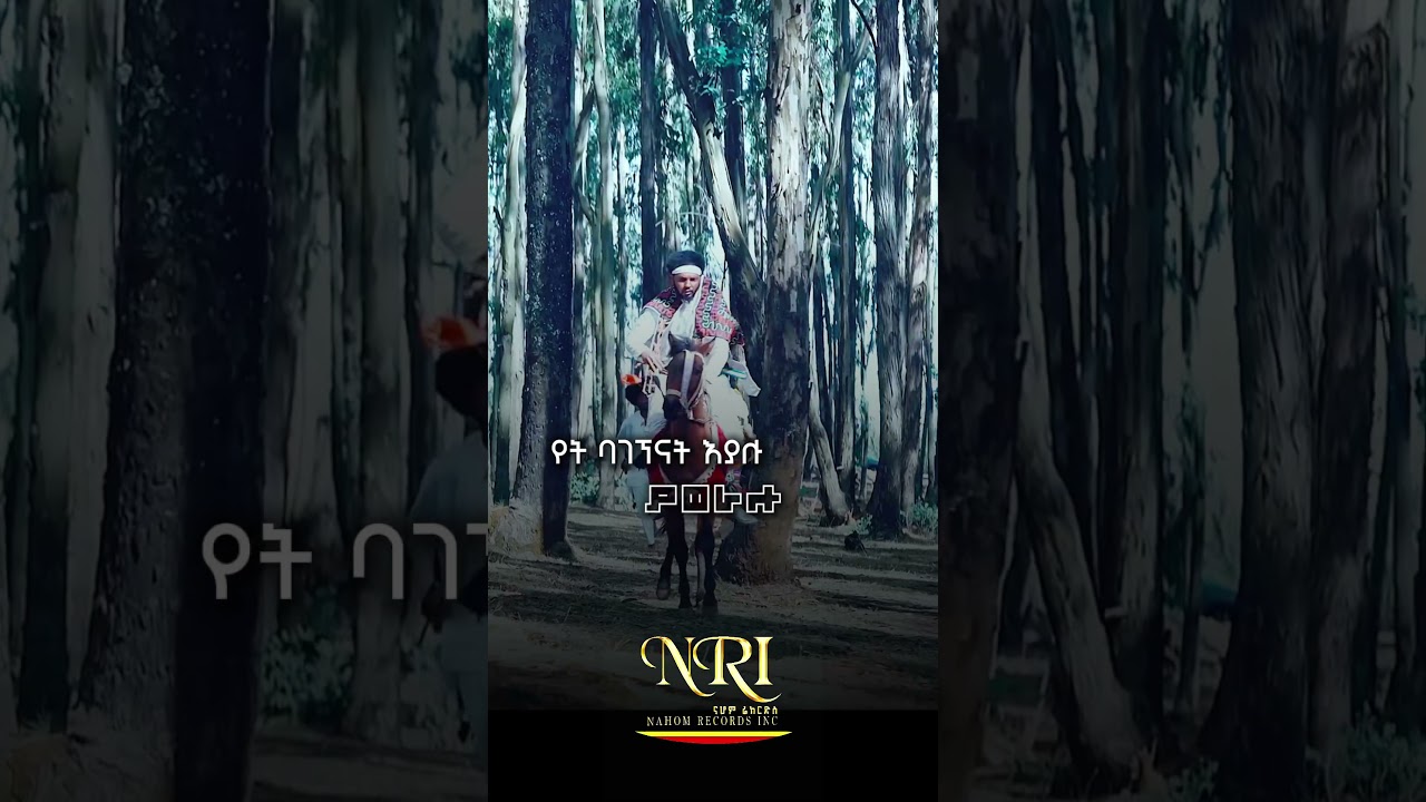 Endashaw Shume - Maraki | እንዳሻው ሹሜ | ማራኪ | Ethiopian Short Amharic Music 2026 (Official Video)