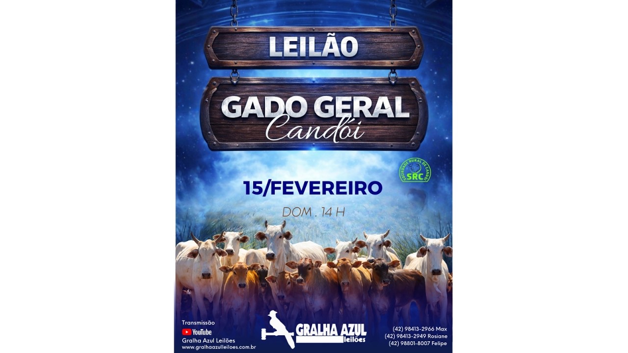 LEILÃO AO VIVO - CANDÓI - 15/02/2026 - 15:00 H