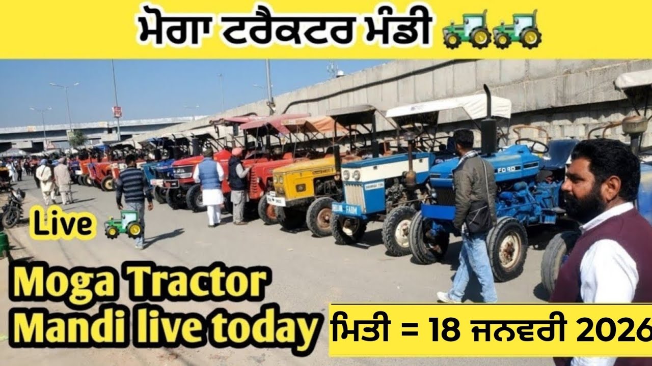 ਮੋਗਾ ਟਰੈਕਟਰ ਮੰਡੀ #मोगा ट्रैक्टर मार्केट Moga Tractor Mandi #Tractor
