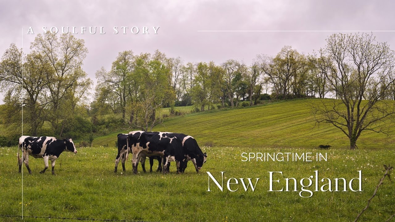 THE SYMPHONY OF SPRING 🌷 Simple Moments & Country Life