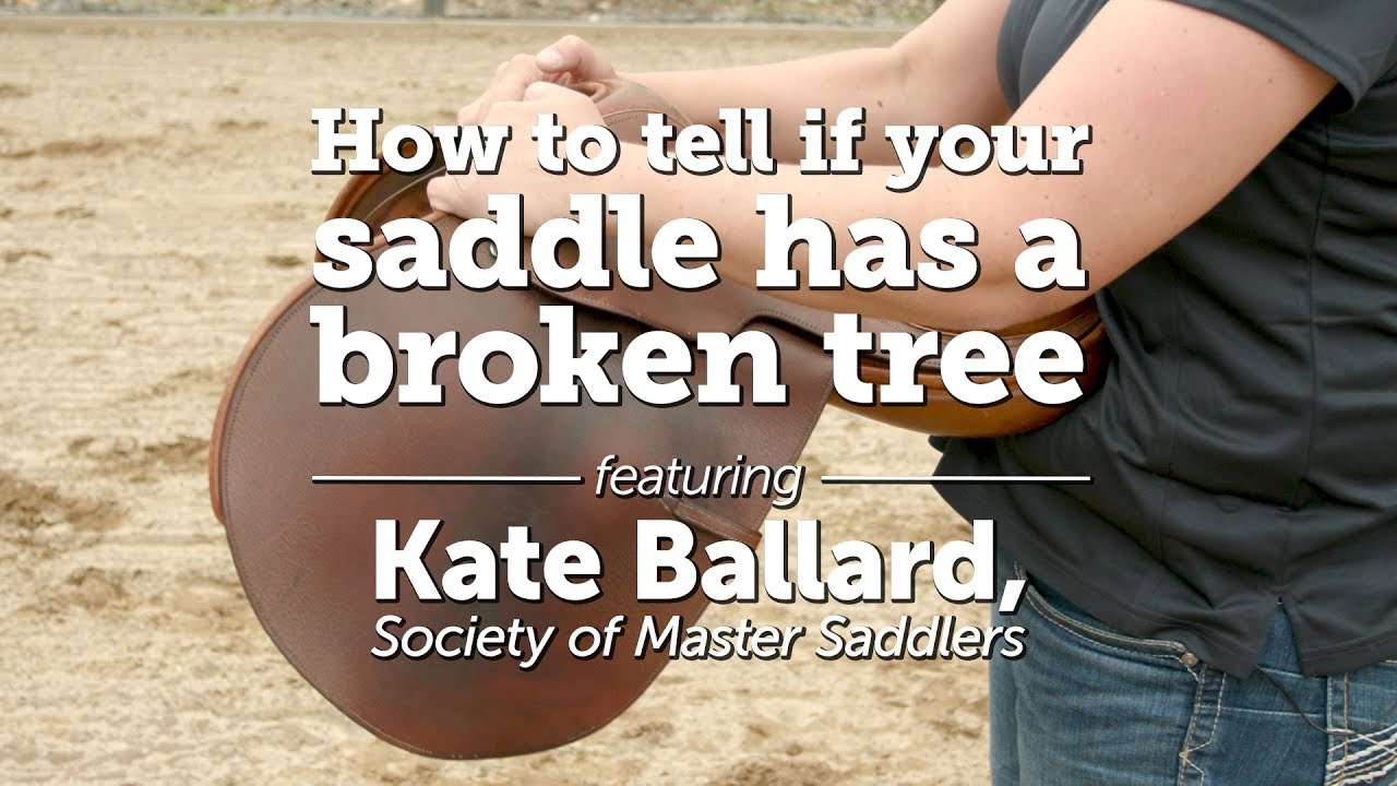 How to tell if your saddle has a broken tree | Kate Ballard, Society of Master Saddlers