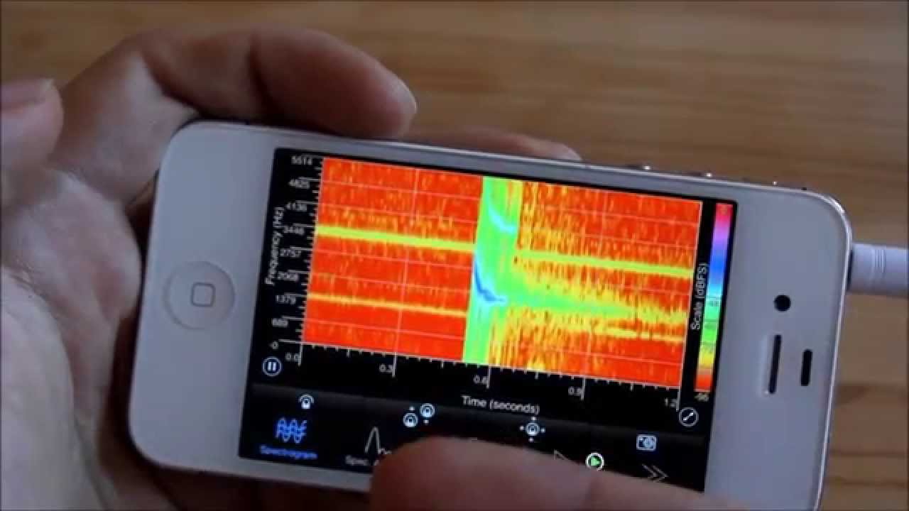 How to Connect Your Smartphone to a Bat Detector